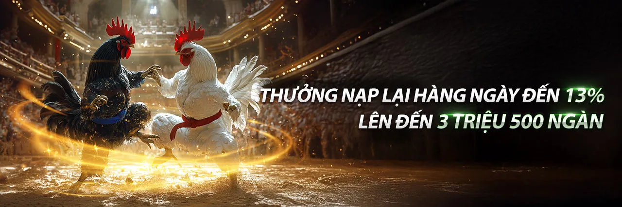 Tổng quan các tính năng trò chơi trên nền tảng rrr88